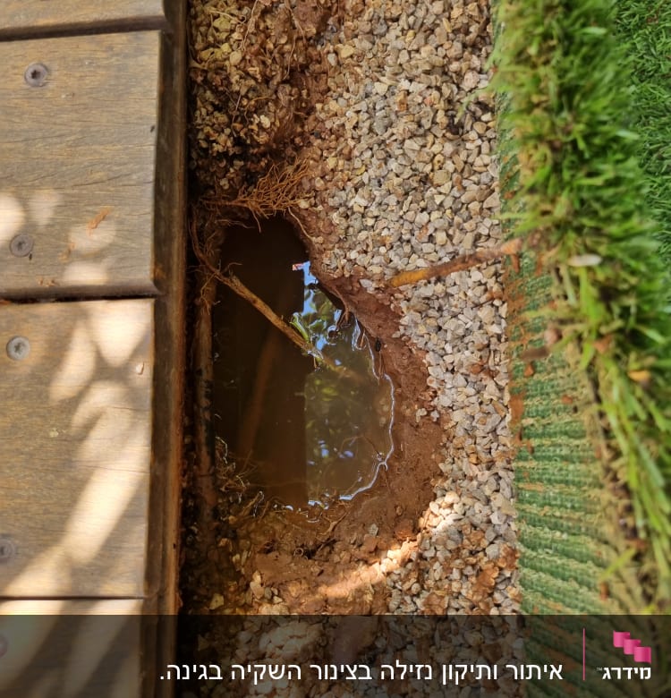 שלולית מים קטנה באדמה ליד דק ועשב סינתטי